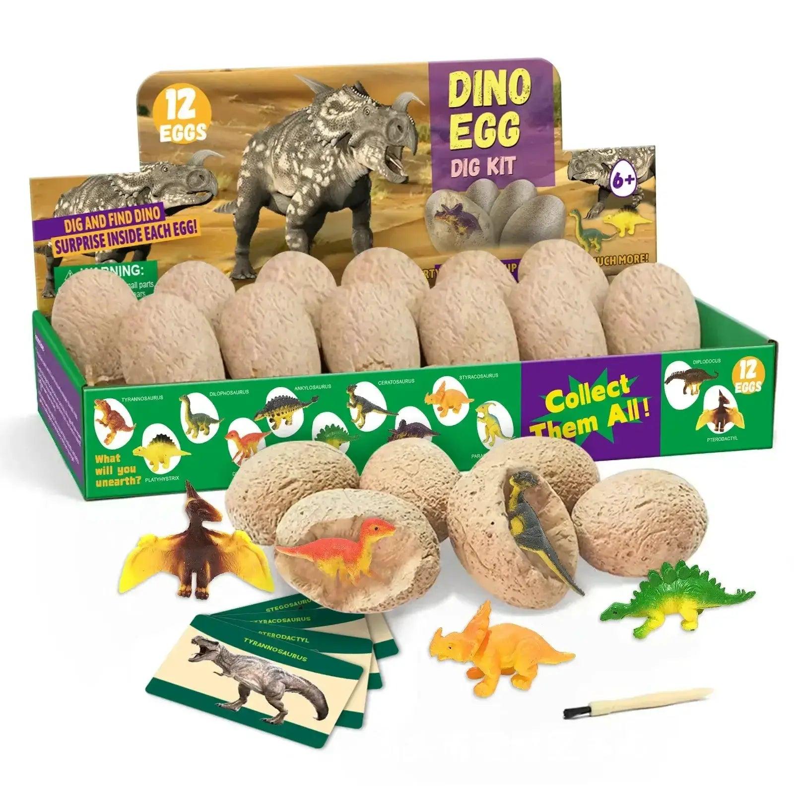  Dinosaur Egg Excavation Kit For STEM Learning Hands On -  ToylandEU™