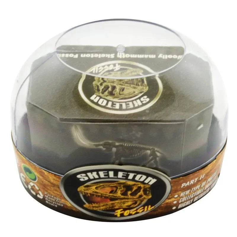 Dinosaur Excavation Toy Simulation Model Chiosaurus Puzzle - ToylandEU