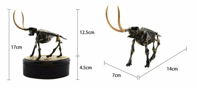 Dinosaur Excavation Toy Simulation Model Chiosaurus Puzzle - ToylandEU