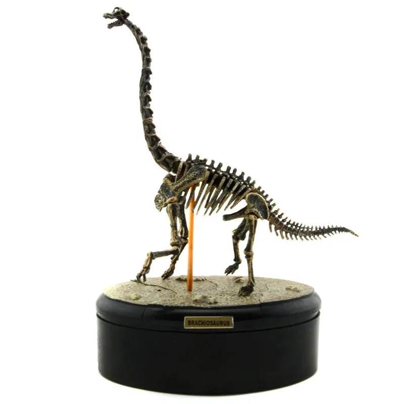Dinosaur Excavation Toy Simulation Model Chiosaurus Puzzle - ToylandEU