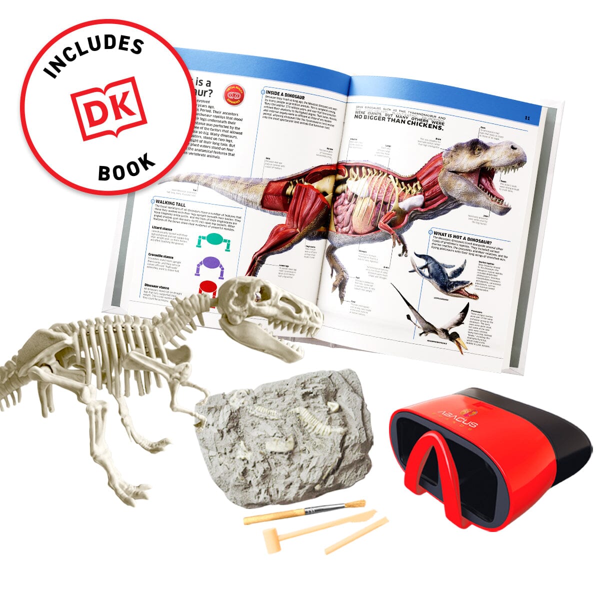 Dinosaur VR Kit | VR Goggles & DK Book | Toylandeu™