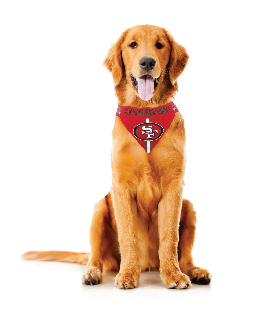 Atlanta Falcons Pet Bandanna Size XS