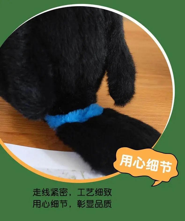  20/30/40CM Simulation Toco Toucan Plush Toys Cute Ramphastos Toco Stuffed Bird Doll for Home Decoration Gifts -  ToylandEU™