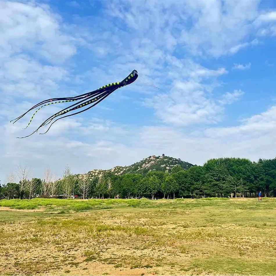  Durable Colorful 3D Octopus Kite Toyland EU -  ToylandEU™