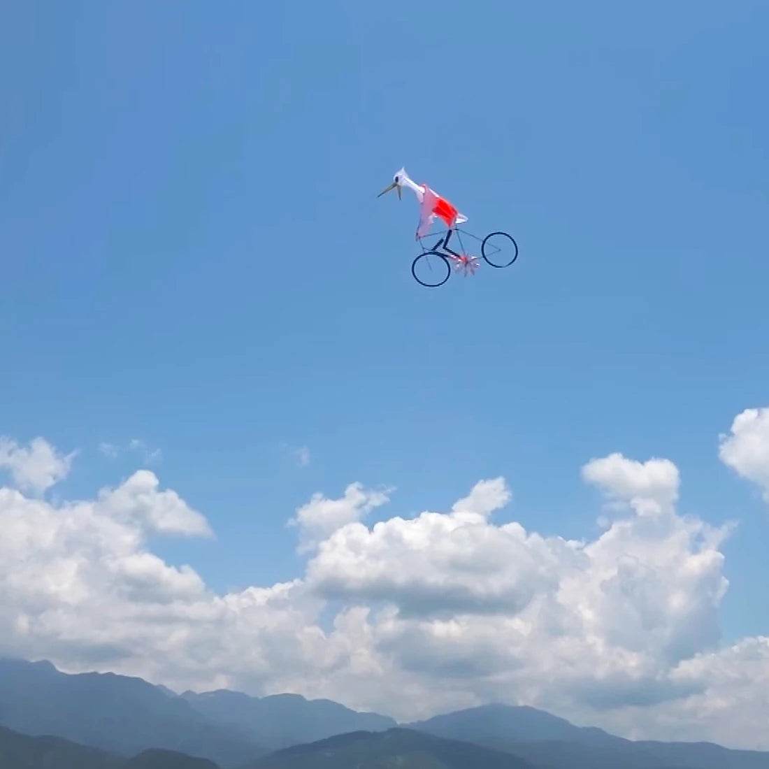 Dynamic Bicycle Kite - 1.2m Show Kite with Pedaling Action for Fun! - ToylandEU