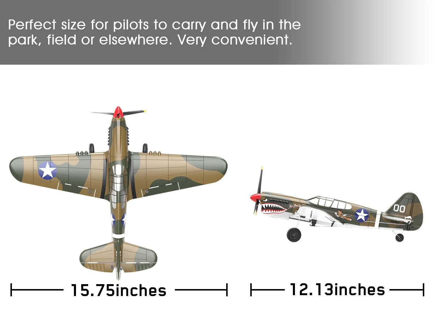 Eachine P-40 P40 Fighter V2 400mm RC Airplane BNF/RTF - ToylandEU