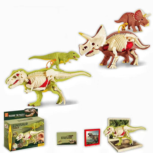 Educational 3D Dinosaur Model Kit With Anatomy For Kids - ToylandEU