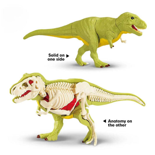 Educational 3D Dinosaur Model Kit With Anatomy For Kids - ToylandEU