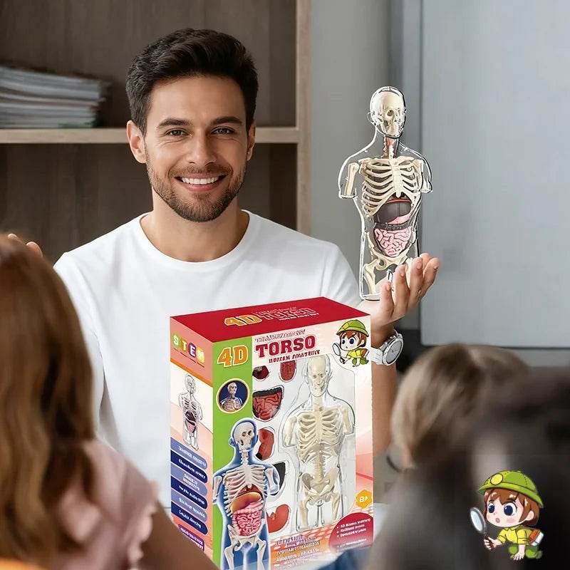 Educational Anatomical Torso Model 4D Transparent For Kids - ToylandEU
