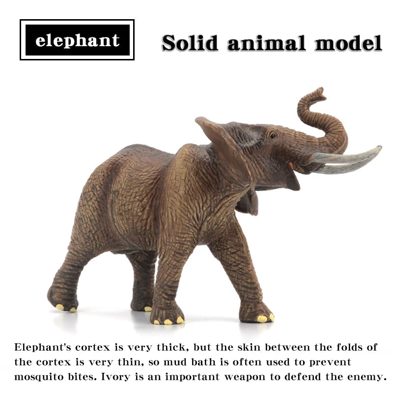 Educational Animal Models Solid Simulation Figures For Kids - ToylandEU