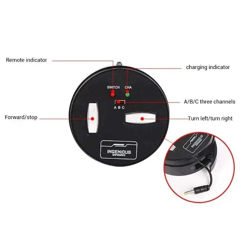 Educational Electric RC Crab Toy With Light Remote Control - ToylandEU