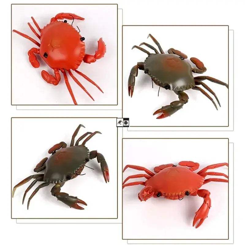 Educational Electric RC Crab Toy With Light Remote Control - ToylandEU