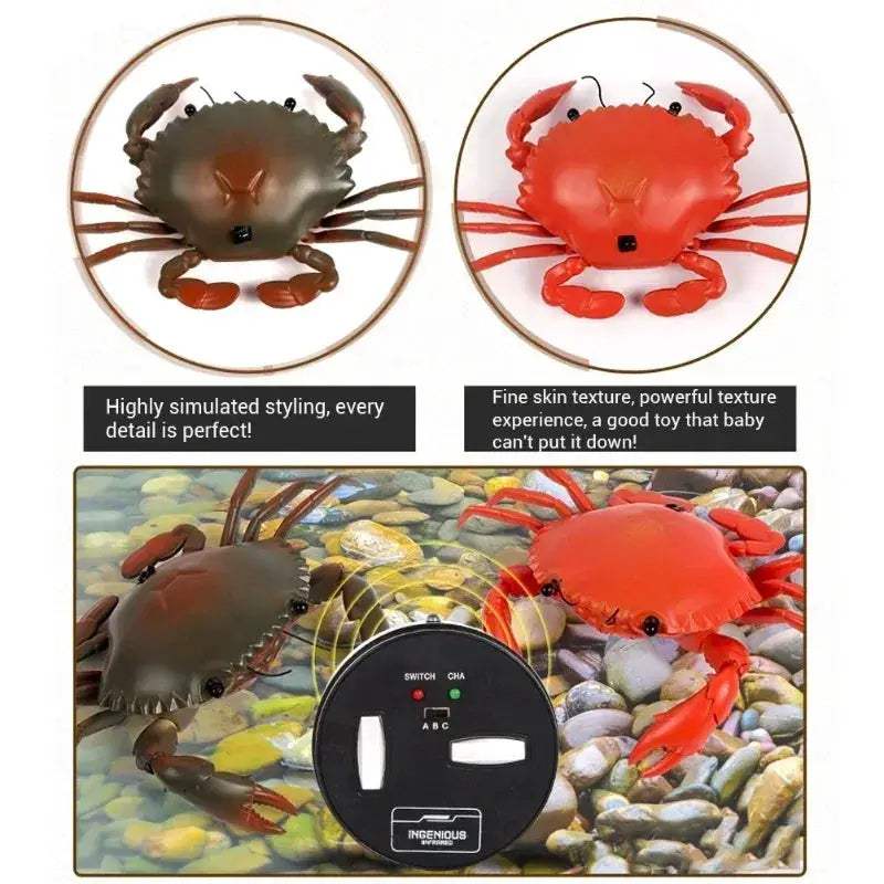 Educational Electric RC Crab Toy With Light Remote Control - ToylandEU