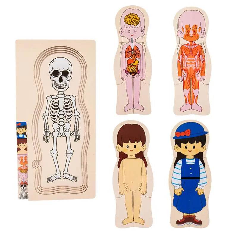 Educational Human Body Puzzle Kit Montessori For Kids - ToylandEU