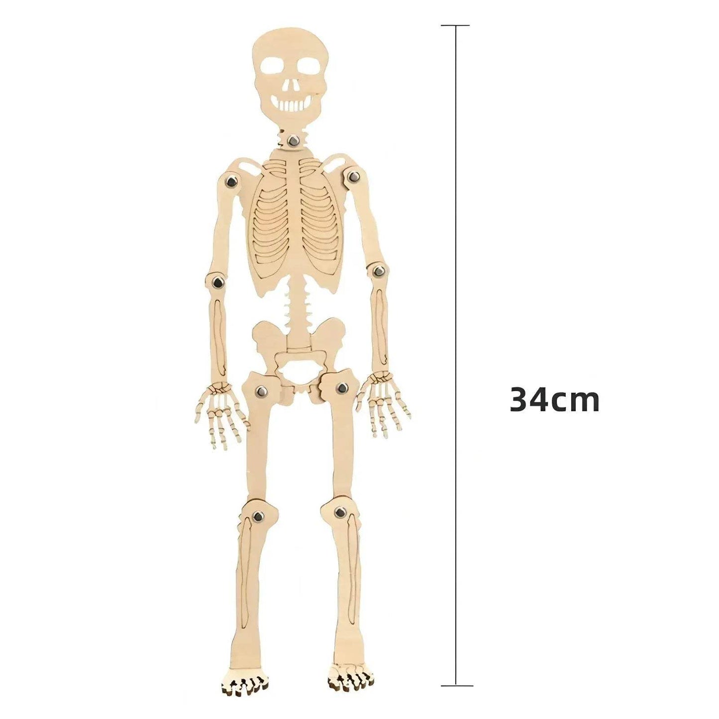 Educational Kids Science Kit With DIY Assembly Toys - ToylandEU