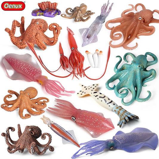 Educational Marine Life Model Set Squid And Octopus Growth Cycle Simulation For Kids - ToylandEU