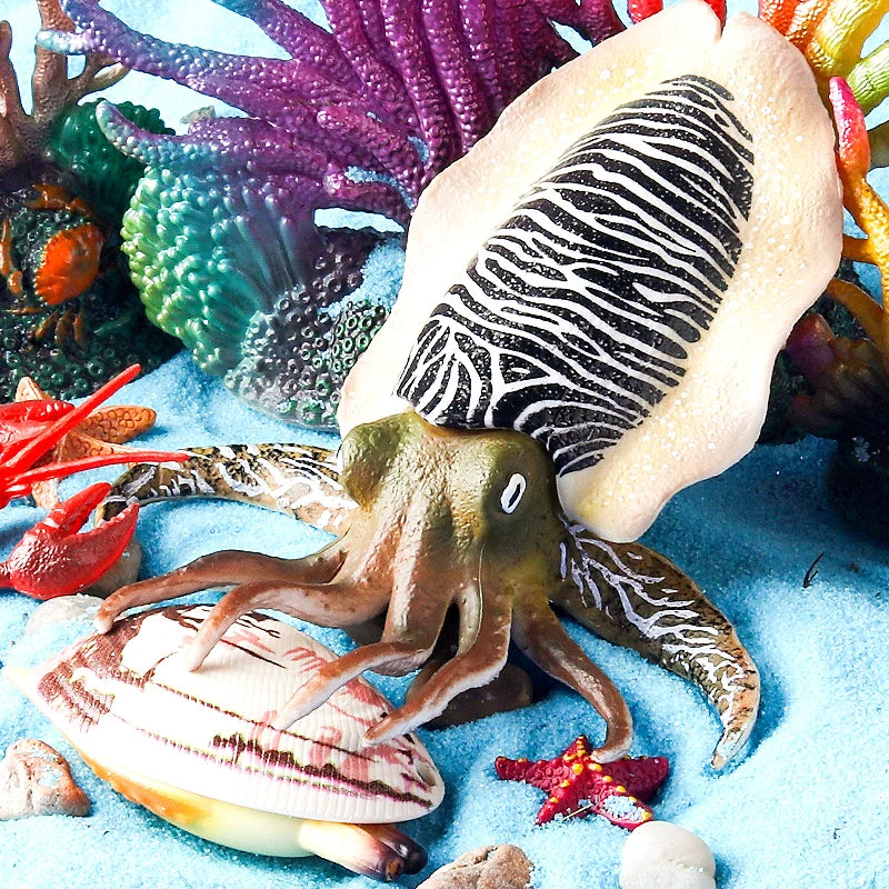 Educational Marine Life Model Set Squid And Octopus Growth Cycle Simulation For Kids - ToylandEU