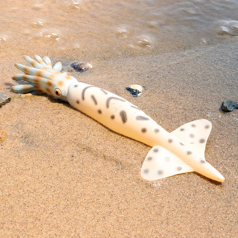 Educational Marine Life Model Set Squid And Octopus Growth Cycle Simulation For Kids - ToylandEU