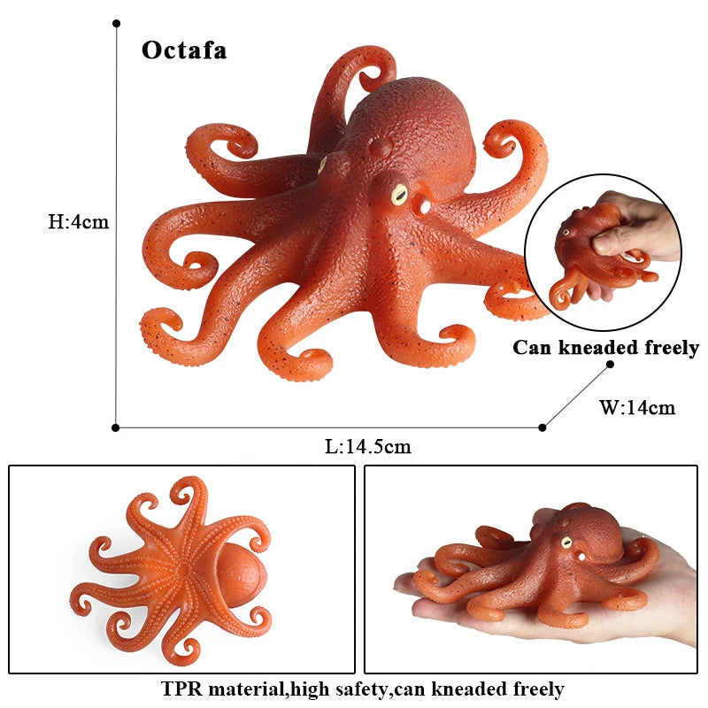 Educational Marine Life Model Set Squid And Octopus Growth Cycle Simulation For Kids - ToylandEU