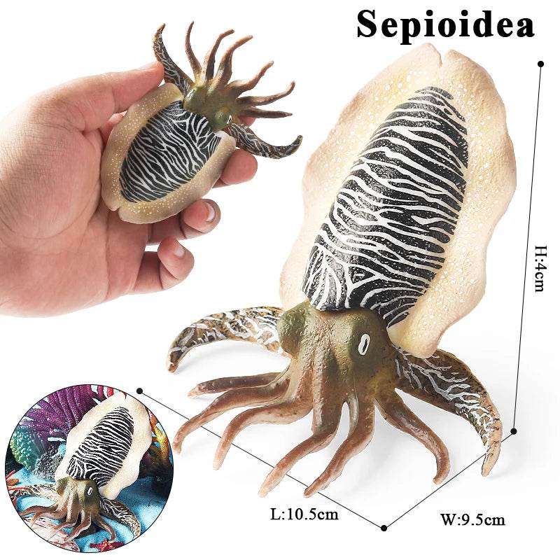 Educational Marine Life Model Set Squid And Octopus Growth Cycle Simulation For Kids - ToylandEU