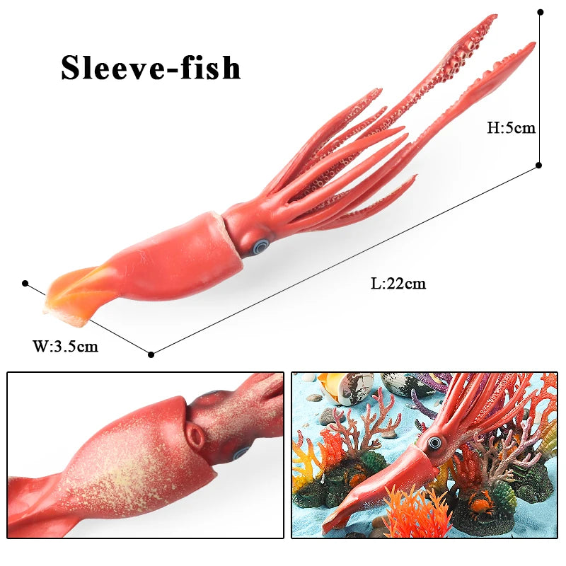 Educational Marine Life Model Set Squid And Octopus Growth Cycle Simulation For Kids - ToylandEU