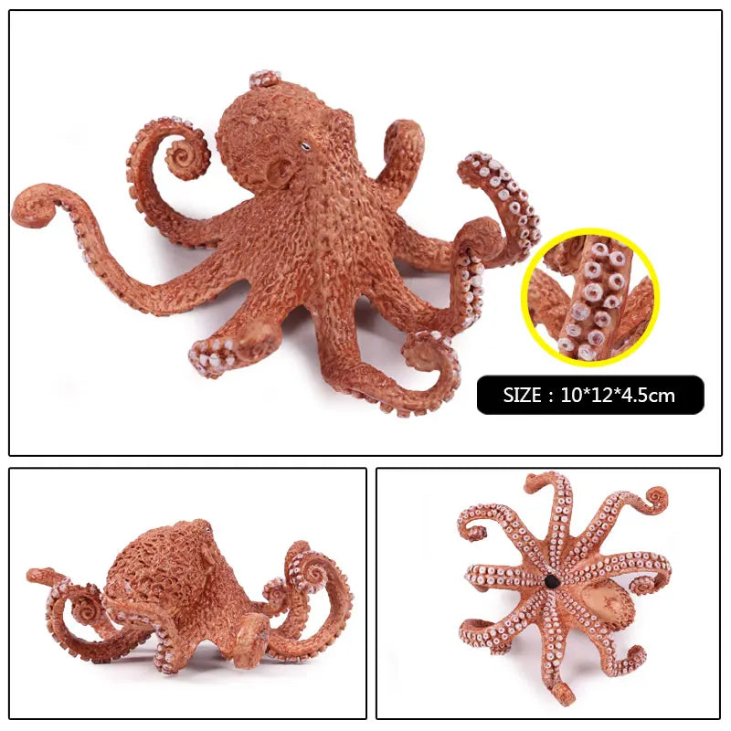 Educational Marine Life Model Set Squid And Octopus Growth Cycle Simulation For Kids - ToylandEU