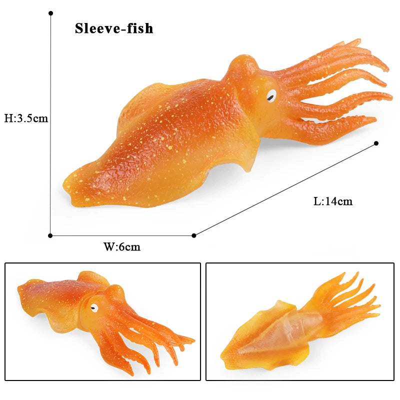 Educational Marine Life Model Set Squid And Octopus Growth Cycle Simulation For Kids - ToylandEU