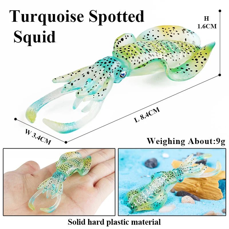 Educational Marine Life Model Set Squid And Octopus Growth Cycle Simulation For Kids - ToylandEU