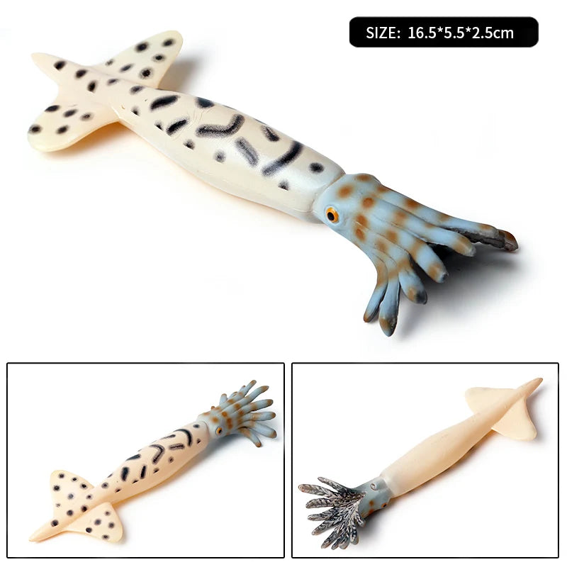 Educational Marine Life Model Set Squid And Octopus Growth Cycle Simulation For Kids - ToylandEU