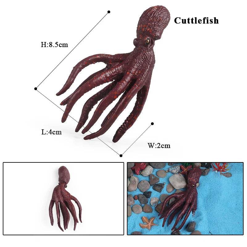 Educational Marine Life Model Set Squid And Octopus Growth Cycle Simulation For Kids - ToylandEU