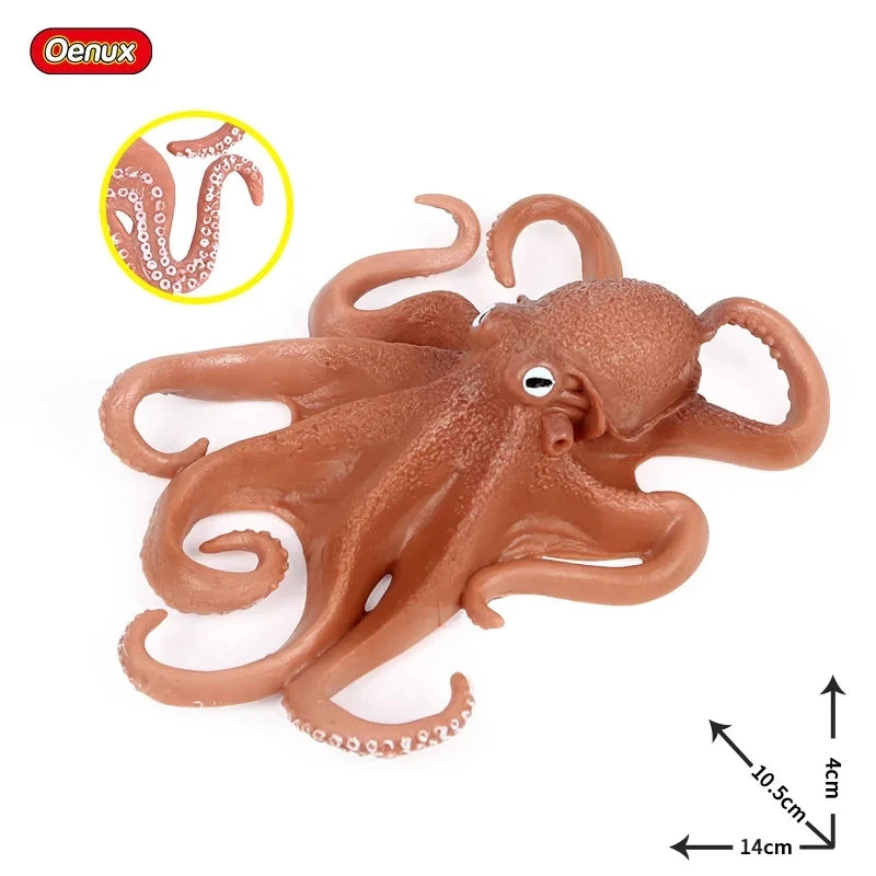 Educational Marine Life Model Set Squid And Octopus Growth Cycle Simulation For Kids - ToylandEU