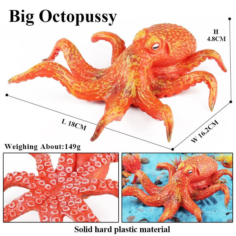 Educational Marine Life Model Set Squid And Octopus Growth Cycle Simulation For Kids - ToylandEU