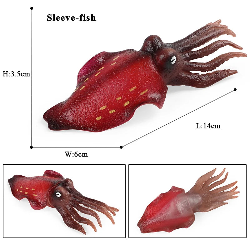Educational Marine Life Model Set Squid And Octopus Growth Cycle Simulation For Kids - ToylandEU
