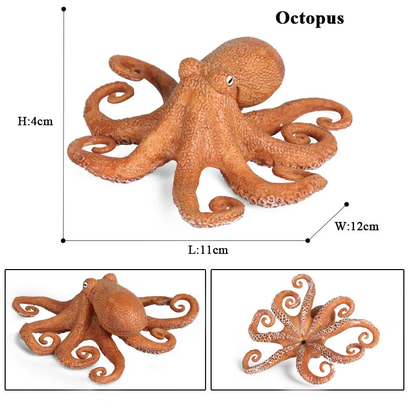 Educational Marine Life Model Set Squid And Octopus Growth Cycle Simulation For Kids - ToylandEU