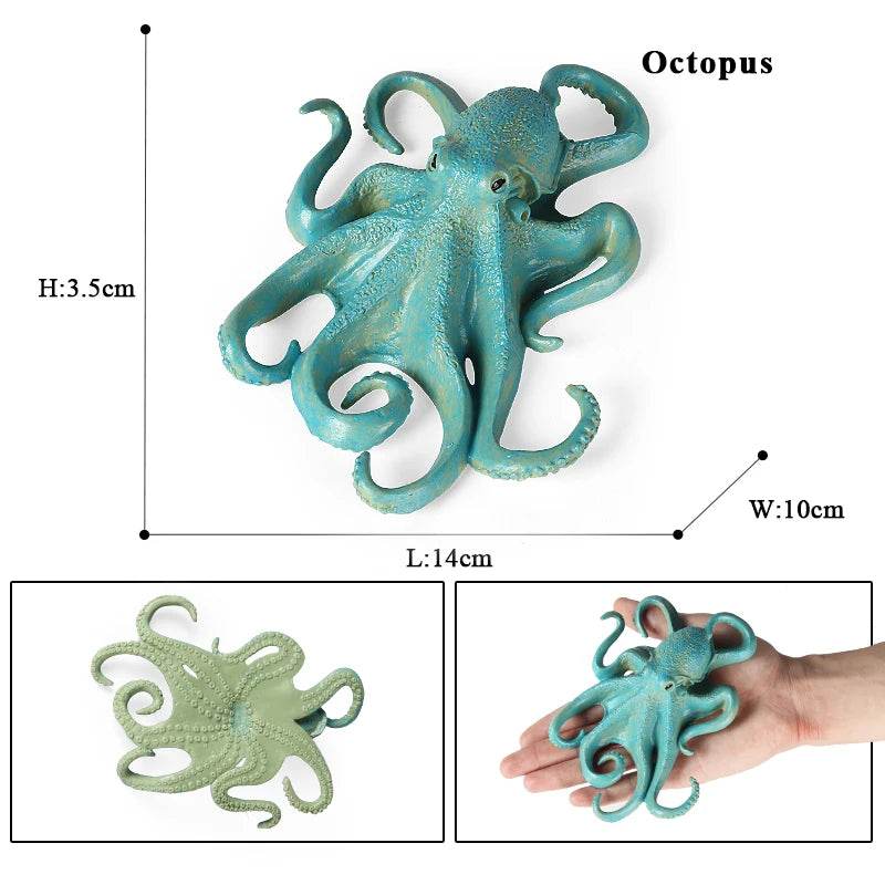 Educational Marine Life Model Set Squid And Octopus Growth Cycle Simulation For Kids - ToylandEU