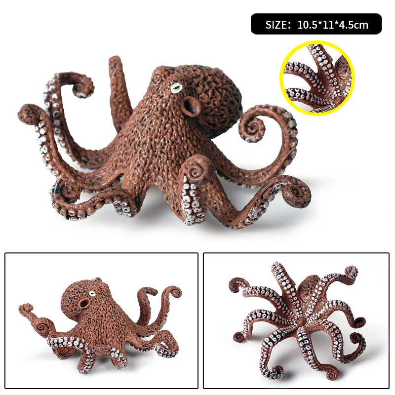 Educational Marine Life Model Set Squid And Octopus Growth Cycle Simulation For Kids - ToylandEU