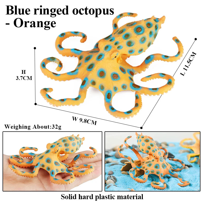 Educational Marine Life Model Set Squid And Octopus Growth Cycle Simulation For Kids - ToylandEU