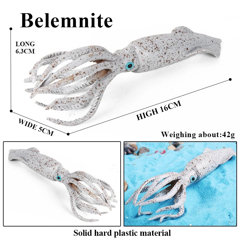 Educational Marine Life Model Set Squid And Octopus Growth Cycle Simulation For Kids - ToylandEU