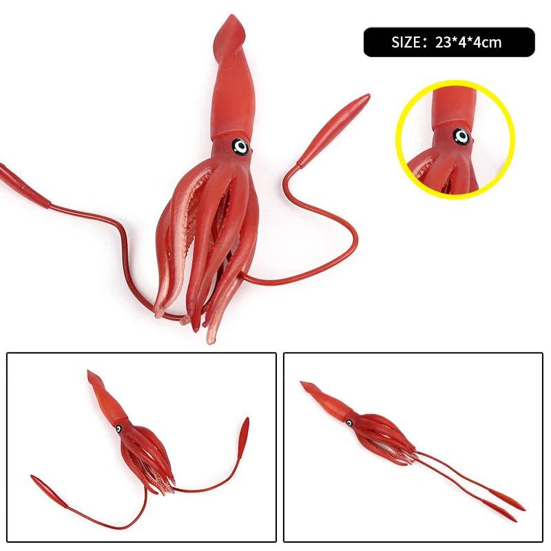 Educational Marine Life Model Set Squid And Octopus Growth Cycle Simulation For Kids - ToylandEU