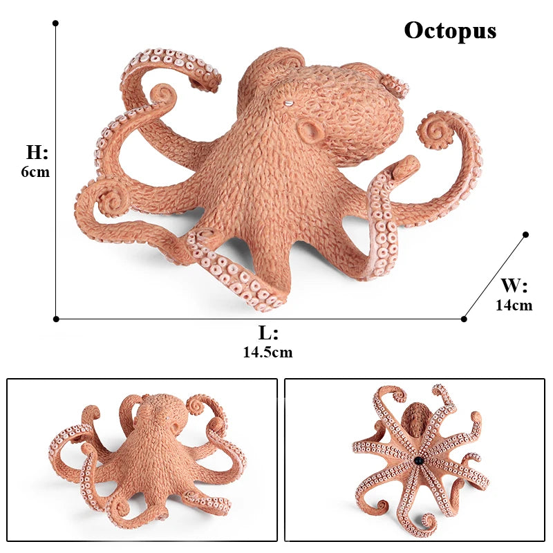Educational Marine Life Model Set Squid And Octopus Growth Cycle Simulation For Kids - ToylandEU