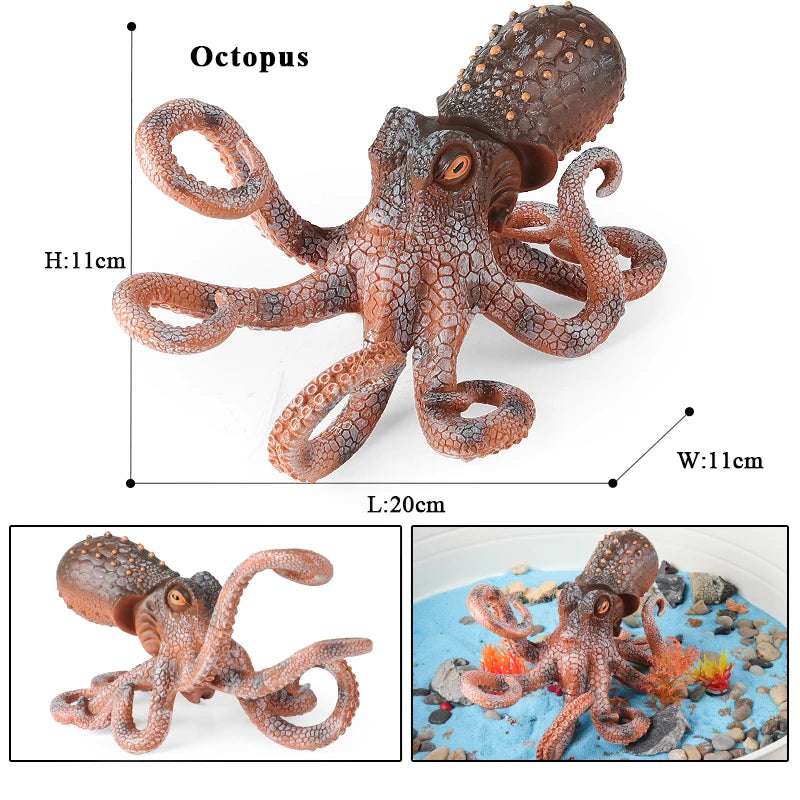 Educational Marine Life Model Set Squid And Octopus Growth Cycle Simulation For Kids - ToylandEU