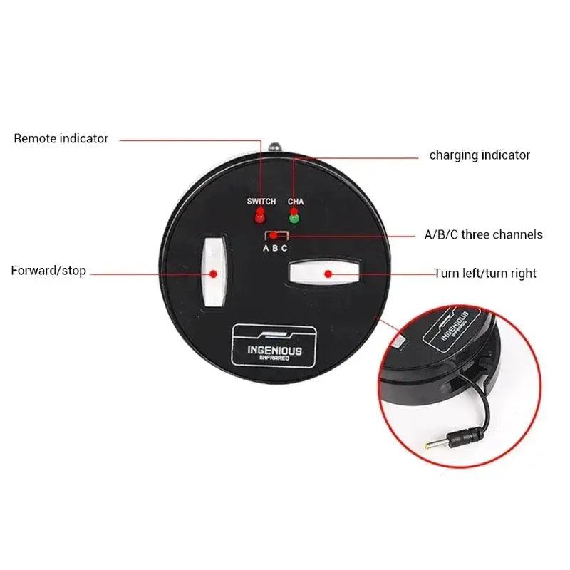  Educational RC Crab Toy With Light Remote Control -  ToylandEU™