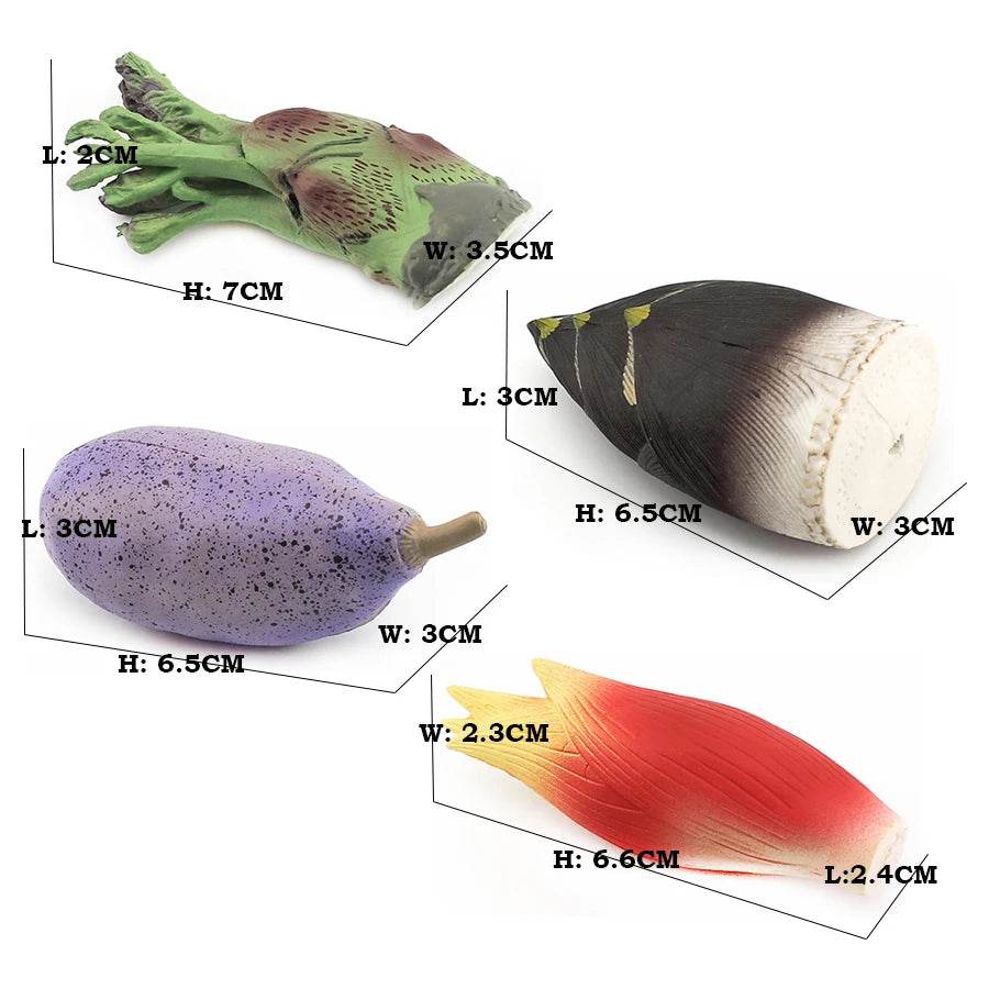 Educational STEM Toy Animal Life Cycle 4 Stage Kit For Kids - ToylandEU