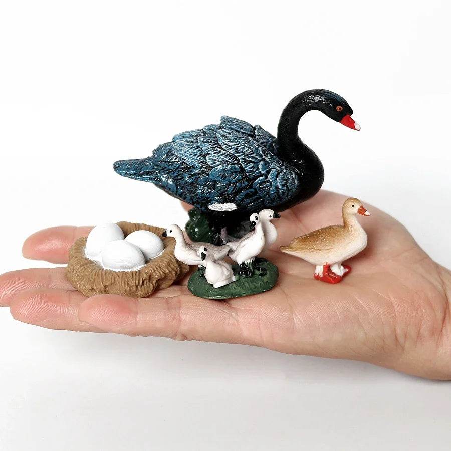 Educational STEM Toy Animal Life Cycle 4 Stage Kit For Kids - ToylandEU