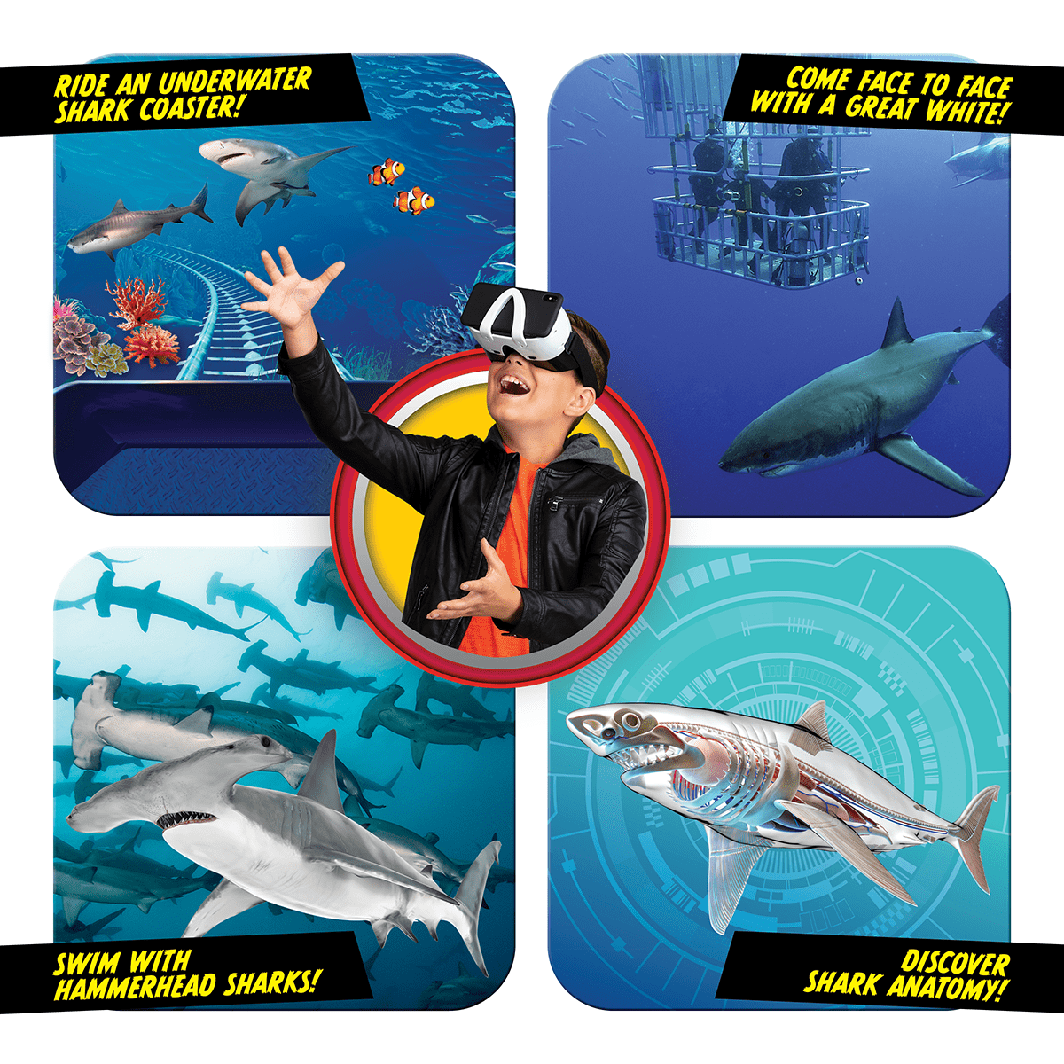 Educational Science Kit | VR Goggles & Fossil Dig | Toylandeu™