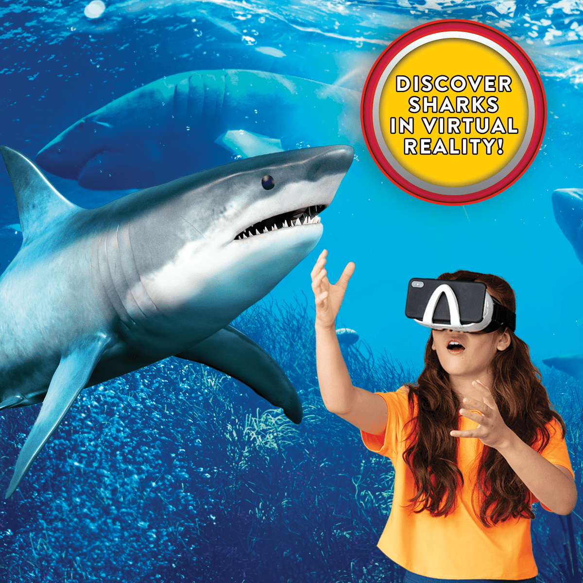 Educational Science Kit | VR Goggles & Fossil Dig | Toylandeu™