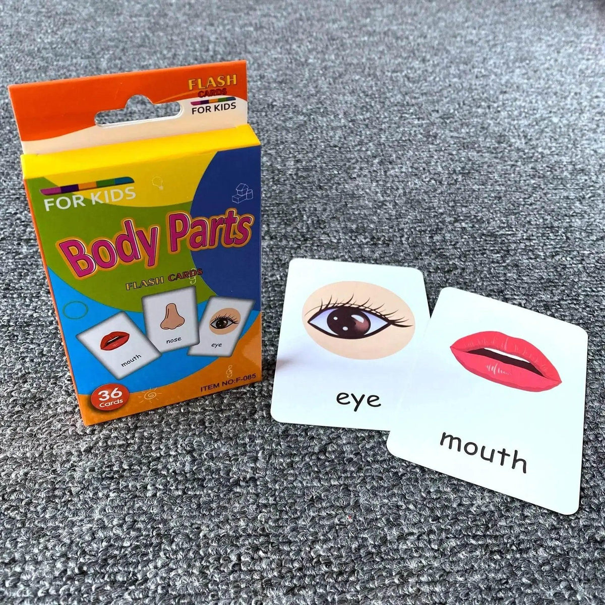  36 Pieces Children Cognition Cards Body Parts Animals Fruits Double Sided Flashcards Montessori -  ToylandEU™