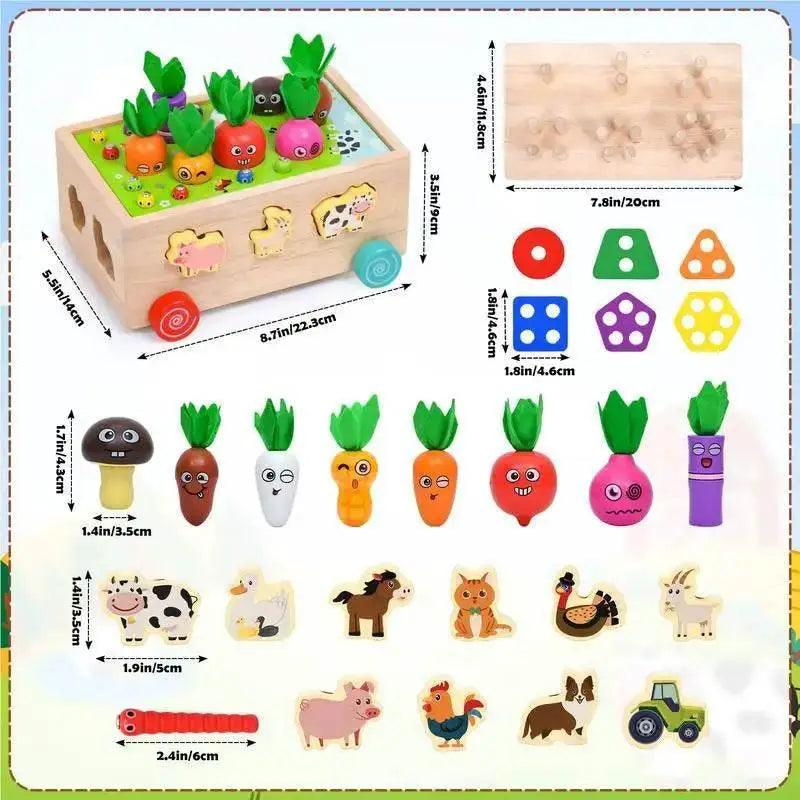 Montessori Shape Matching Carrot Toy 14 Months And Up -  ToylandEU™