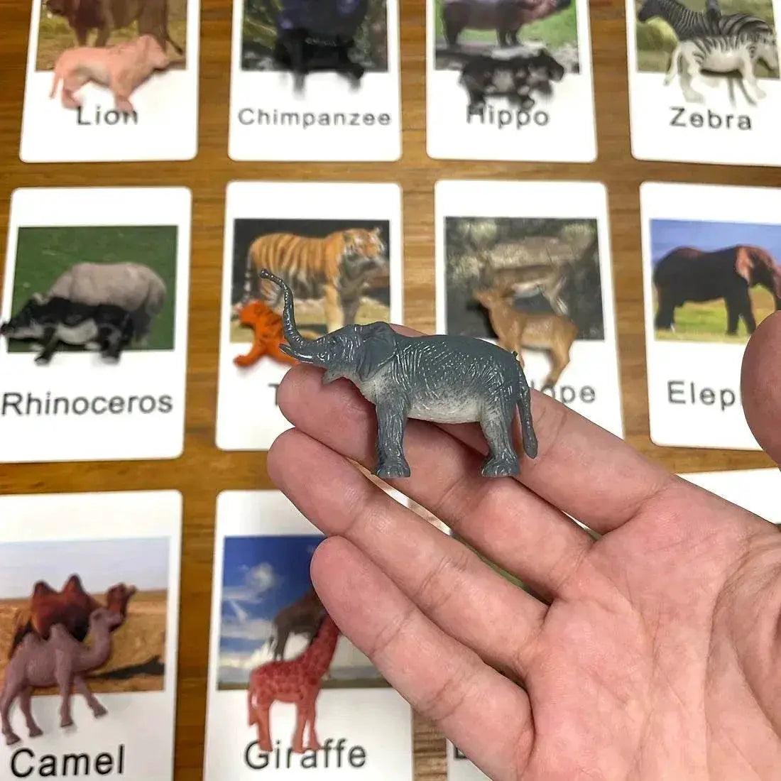  Montessori Animal Matching Card Set for Toddlers Ages 1 to 6 Language Learning Educational Toy -  ToylandEU™