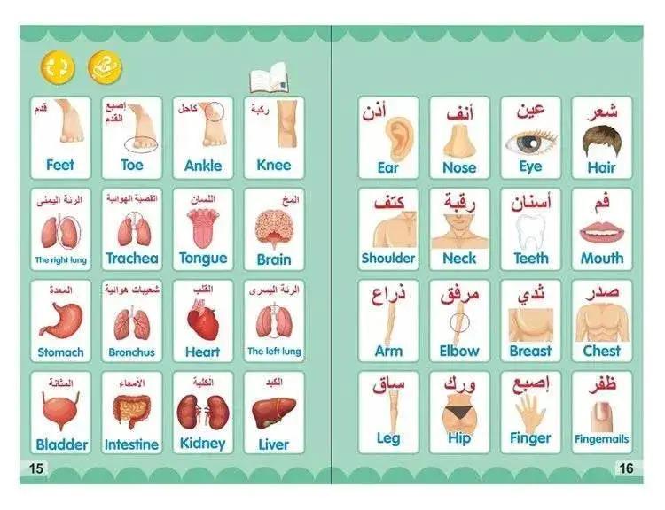  Arabic English Letters Alphabet Kids Ebook Reading Machines Multi Function Learning Baby Early Education Toys -  ToylandEU™
